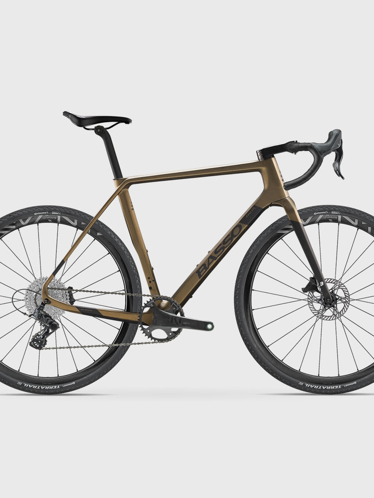 Palta - Campagnolo Ekar