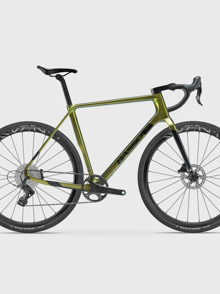 Palta - Campagnolo Ekar